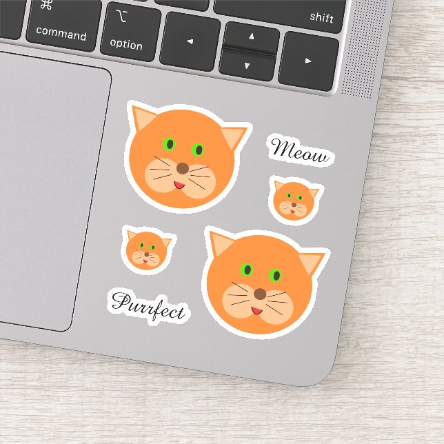 Cute Orange Cat Face and Text (Detail)