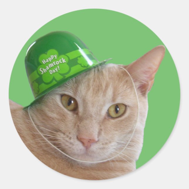 Cute Orange Cat Wearing a Green Irish Hat Classic Round Sticker (Front)