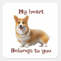 Cute Orange corgi for a positive mood