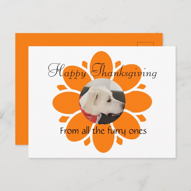 Cute Orange Flower Mum Frame for Pet Photo Postcard (Front/Back)