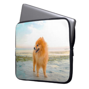 Cute Orange Pomeranian on the Beach Laptop Sleeve