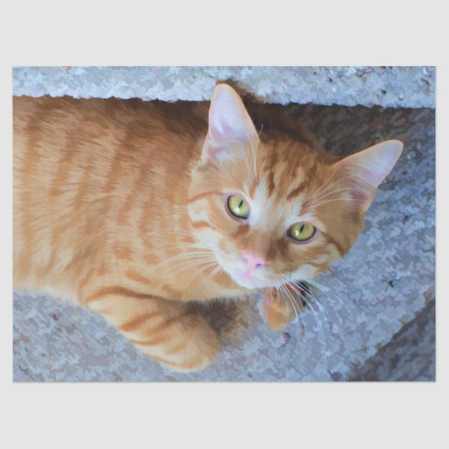 Cute Orange Tabby Cat Decoupage Tissue Paper (Front)