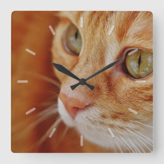 Cute Orange Tabby Cat Face Close Up Square Wall Clock