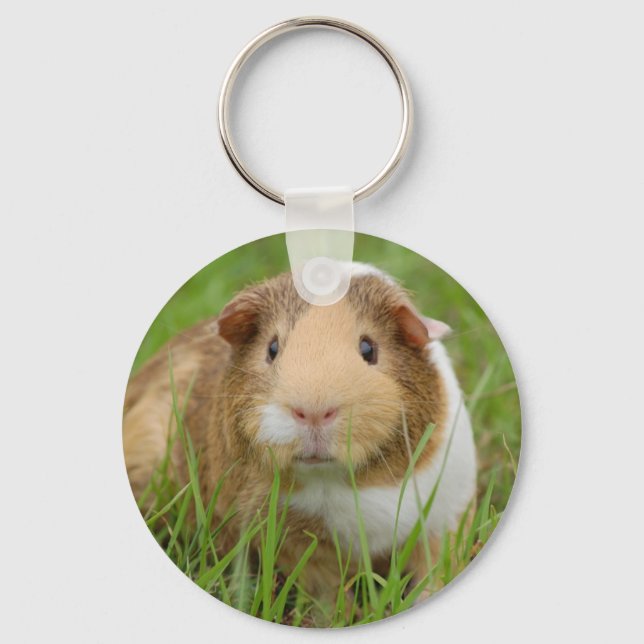Cute orange-white guinea pig in grass key ring (Front)