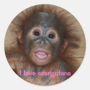 Cute orangutan baby classic round sticker