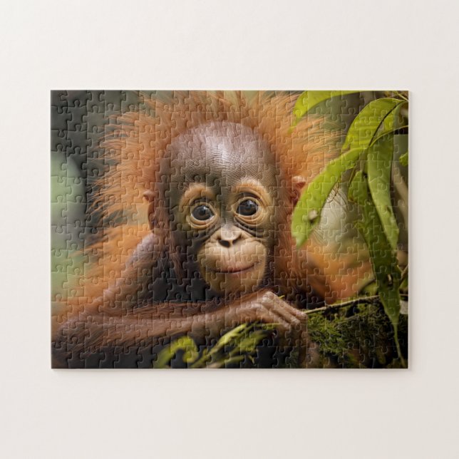 Cute Orangutan baby Jigsaw Puzzle (Horizontal)