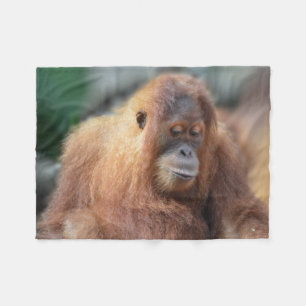 Cute Orangutan Fleece Blanket