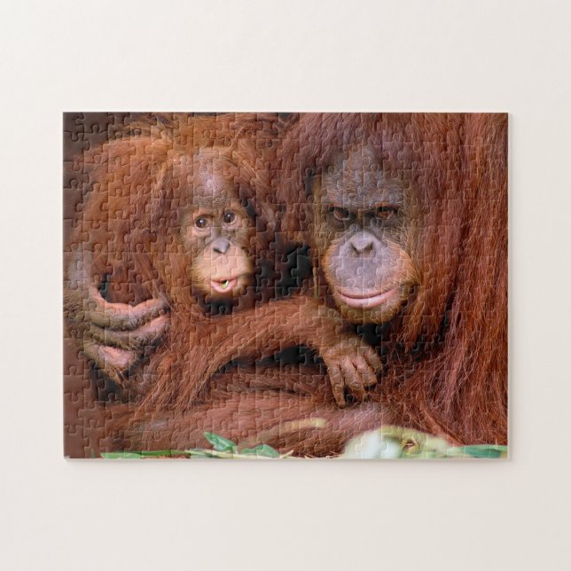 Cute Orangutan Mum and Baby, Jigsaw Puzzle (Horizontal)