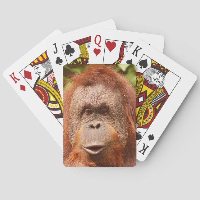 Cute orangutan   playing cards (Back)