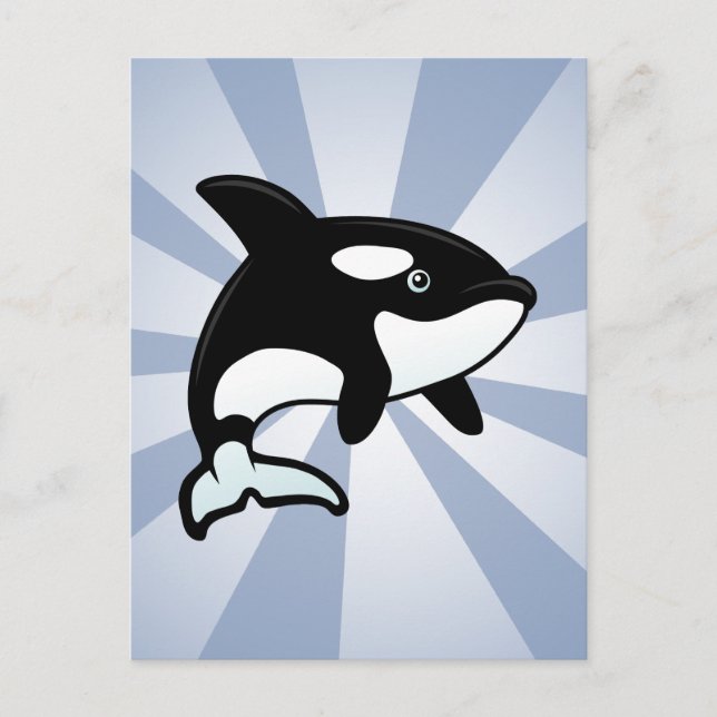 Cute Orca / Killer Whale Postcard (Front)