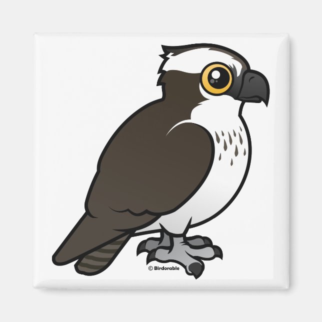 Cute Osprey Magnet (Front)