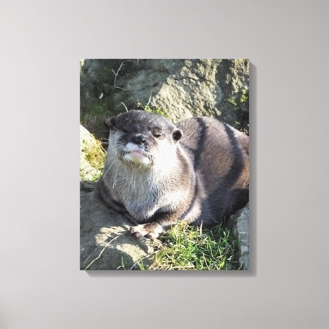 CUTE OTTER CANVAS PRINT (Front)