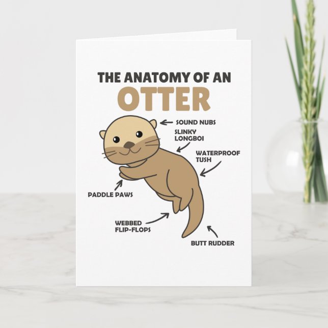 Cute Otter Explanation Anatomy Of An Otter Card (Front)
