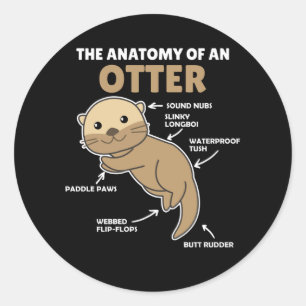 Cute Otter Explanation Anatomy Of An Otter Classic Round Sticker