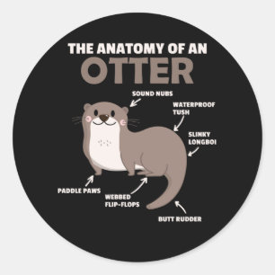 Cute Otter Explanation Anatomy Of An Otter Classic Round Sticker