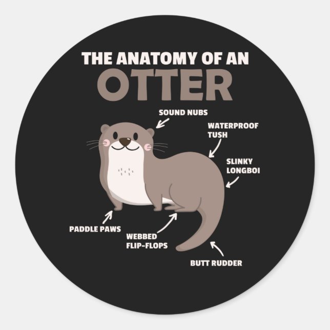 Cute Otter Explanation Anatomy Of An Otter Classic Round Sticker (Front)