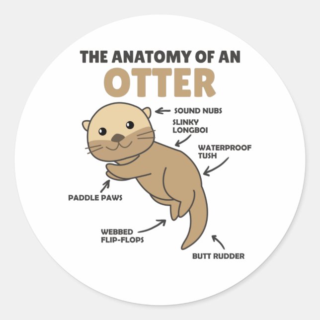 Cute Otter Explanation Anatomy Of An Otter Classic Round Sticker (Front)