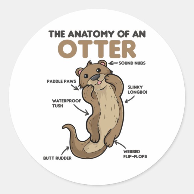 Cute Otter Explanation Anatomy Of An Otter Classic Round Sticker (Front)