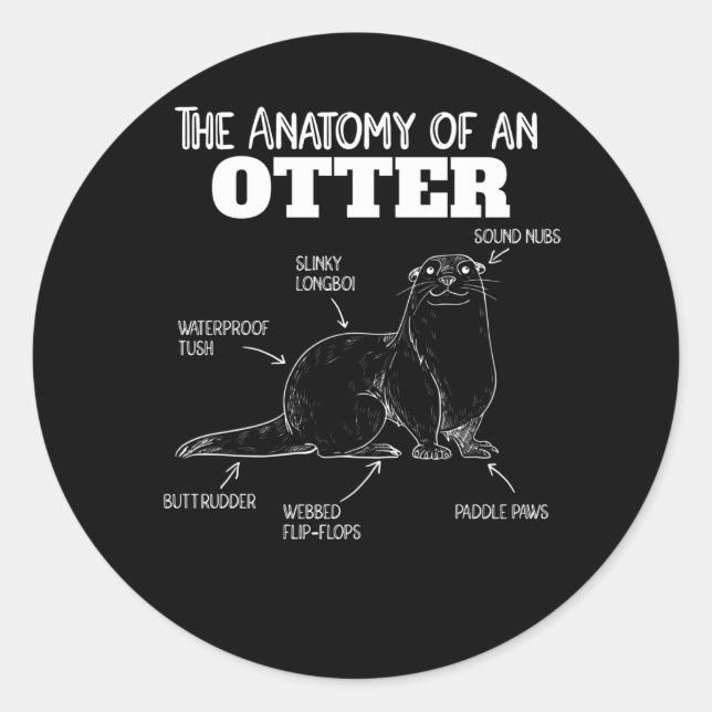Cute Otter Explanation Anatomy Of An Otter Classic Round Sticker (Front)