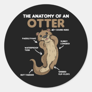 Cute Otter Explanation Anatomy Of An Otter Classic Round Sticker