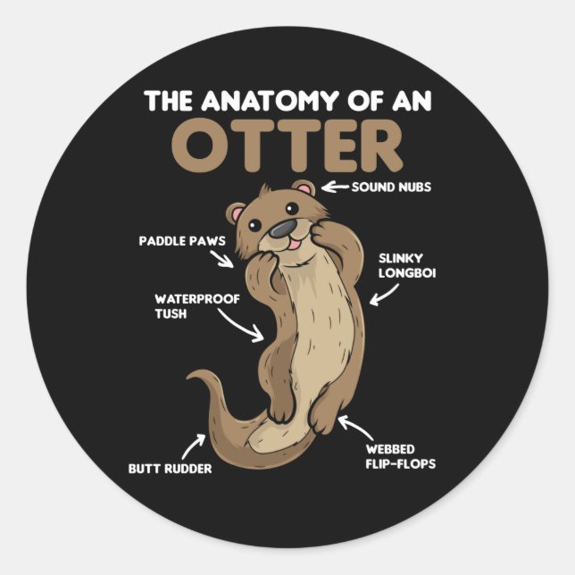 Cute Otter Explanation Anatomy Of An Otter Classic Round Sticker (Front)