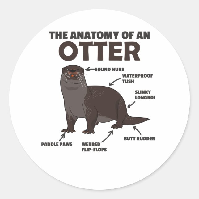 Cute Otter Explanation Anatomy Of An Otter Classic Round Sticker (Front)