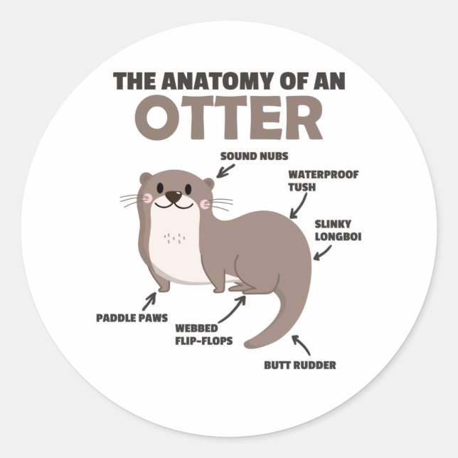 Cute Otter Explanation Anatomy Of An Otter Classic Round Sticker (Front)