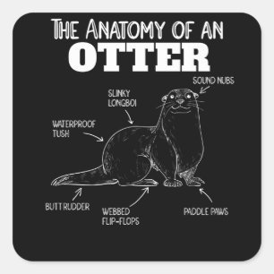 Cute Otter Explanation Anatomy Of An Otter Square Sticker