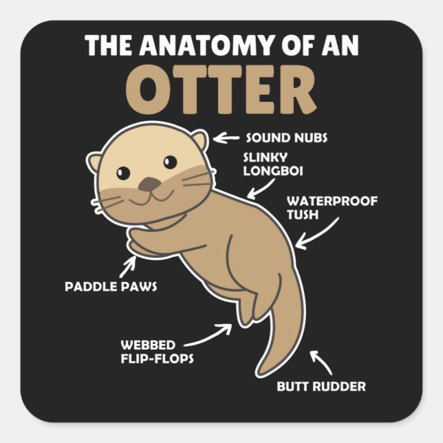 Cute Otter Explanation Anatomy Of An Otter Square Sticker (Front)