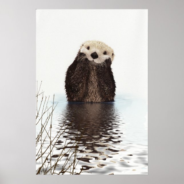 Cute Otter Wildlife Image Poster (Front)