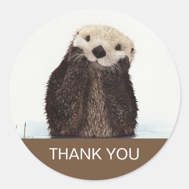 Cute Otter Wildlife Image Thank You Classic Round Sticker (Front)