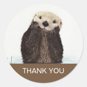 Cute Otter Wildlife Image Thank You Classic Round Sticker