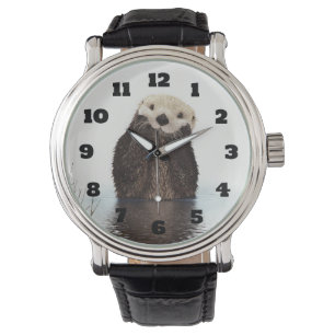 Cute Otter Wildlife Image Watch