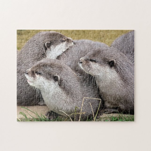 CUTE OTTERS JIGSAW PUZZLE (Horizontal)