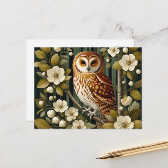 Cute owl bird lovers  postcard (Front/Back In Situ)