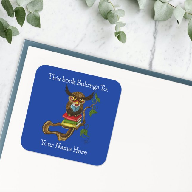 Cute Owl Books Bookplate Square Sticker (Creator Uploaded)