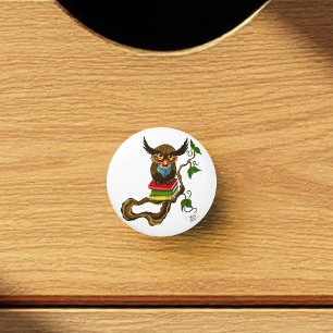 Cute Owl Books Ceramic Knob
