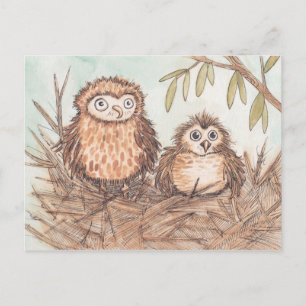 Cute Owl Brothers Postcard