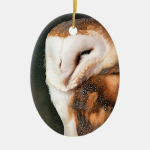 CUTE OWL CERAMIC ORNAMENT