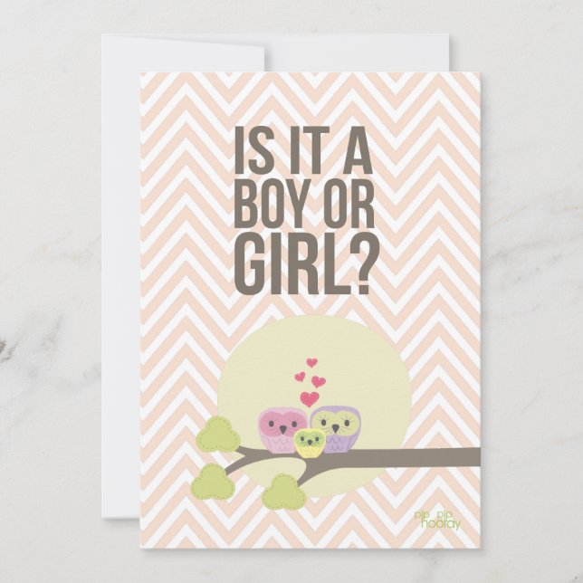 Cute Owl Family Baby Gender Reveal Party Invite (Front)