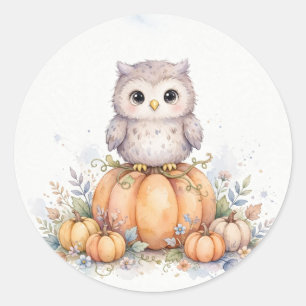 Cute Owl in Pumpkin Patch Halloween Classic Round Sticker