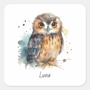 Cute owl in watercolor square sticker