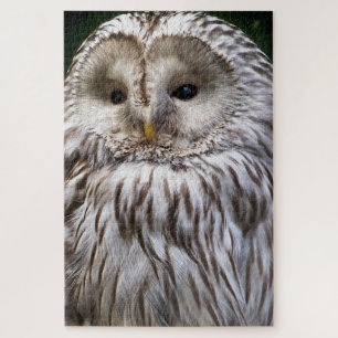 CUTE OWL JIGSAW PUZZLE