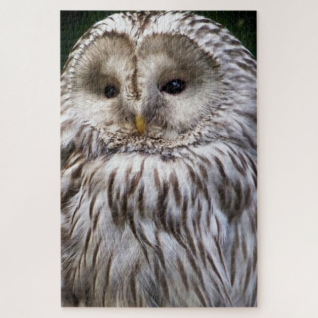 CUTE OWL JIGSAW PUZZLE (Vertical)