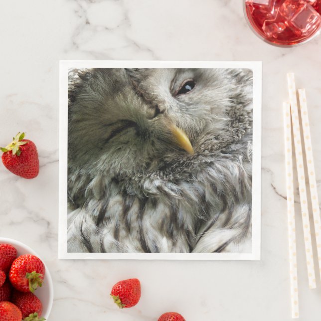 CUTE OWL NAPKIN (Insitu)