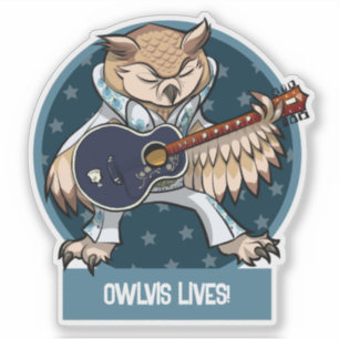 Cute Owl Owlvis Lives! Singer With Guitar Cartoon