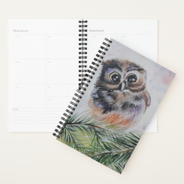 Cute Owl Planner (Display)