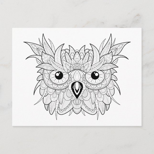 Cute Owl Portrait Doodle Postcard (Front)