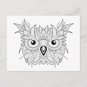 Cute Owl Portrait Doodle Postcard