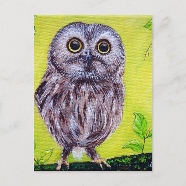 Cute Owl Postcard (Front)
